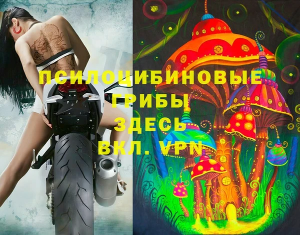 твердый Кодинск