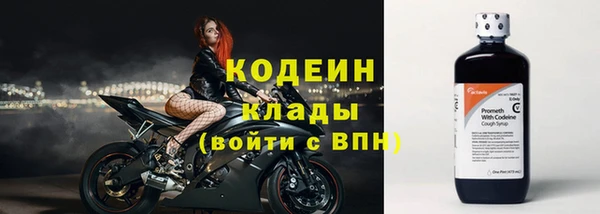 твердый Кодинск