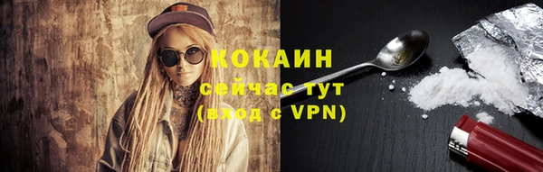 твердый Кодинск