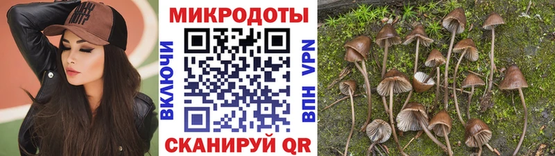Галлюциногенные грибы Psilocybine cubensis  Купить  Жуковка 